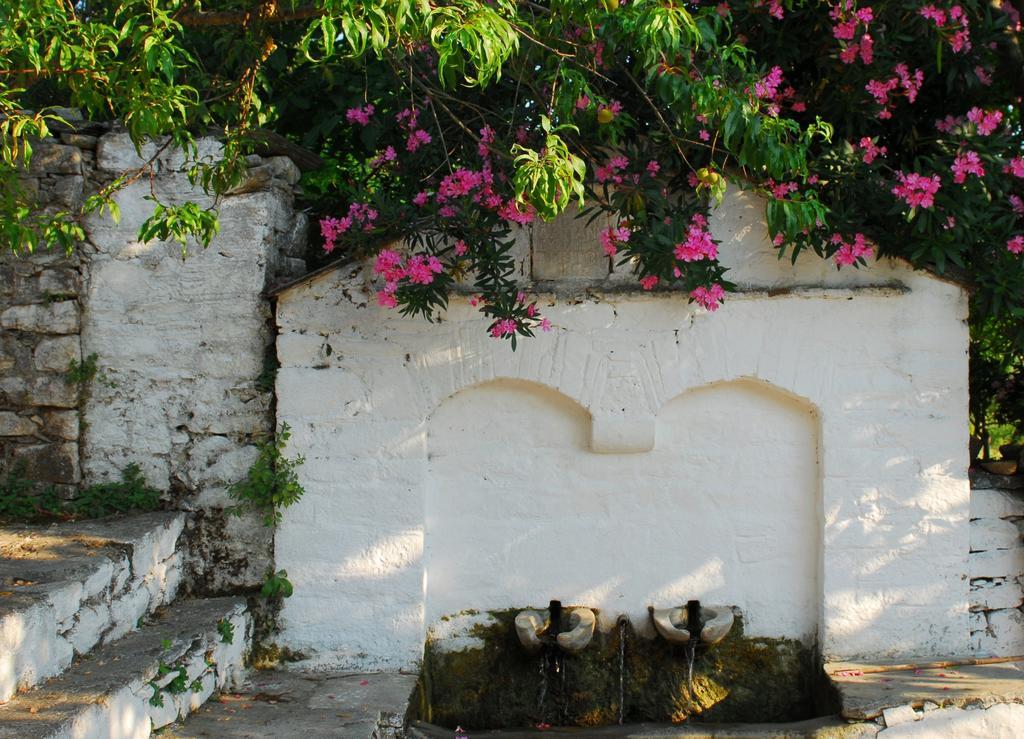 Menelaos Apartments Lefokastro Dış mekan fotoğraf