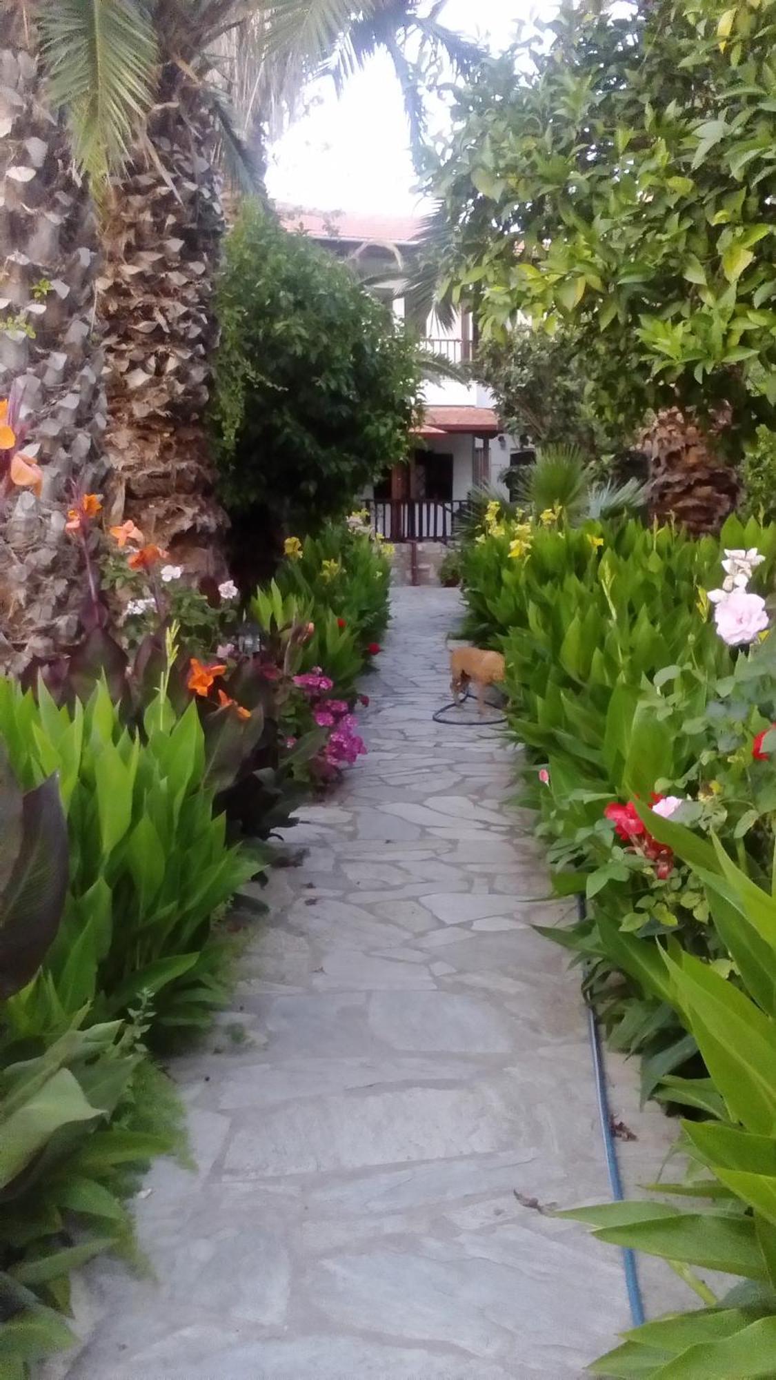 Menelaos Apartments Lefokastro Dış mekan fotoğraf