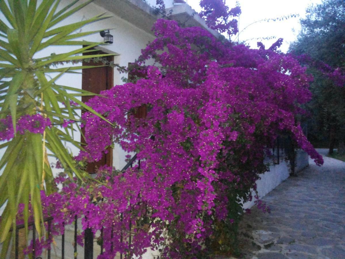 Menelaos Apartments Lefokastro Dış mekan fotoğraf